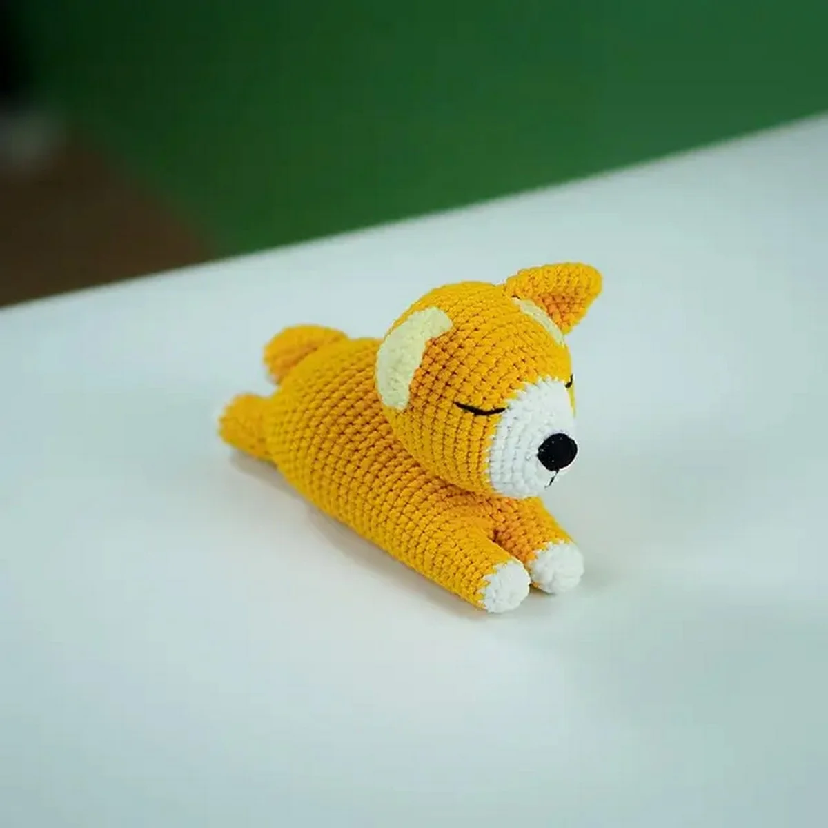 Mèo len móc màu vàng nằm thư giãn trên nền trắng