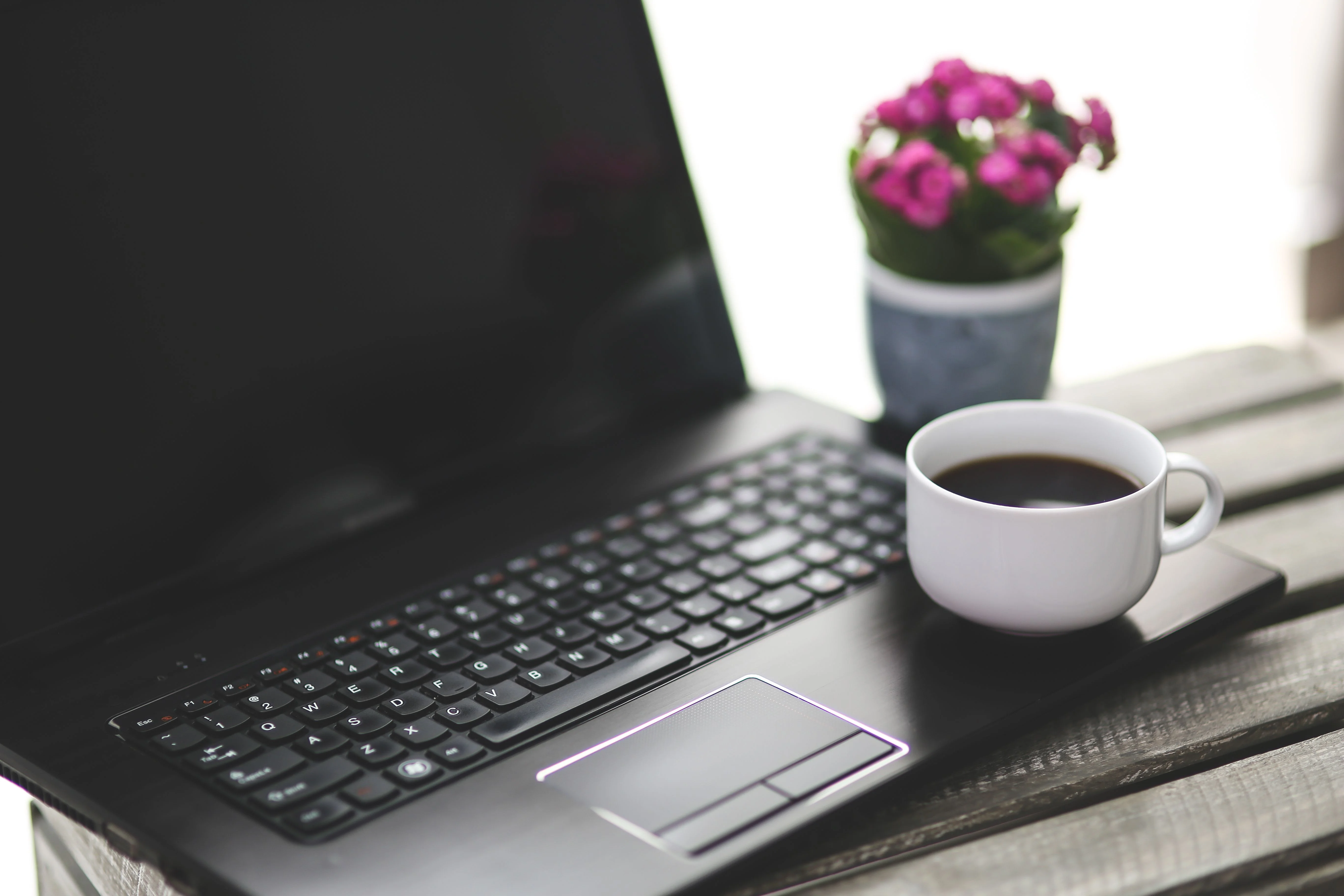 Laptop đặt cạnh tách cà phê và chậu hoa nhỏ trên bàn